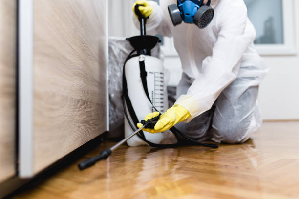 Best Exterminator Services  in Fairfield Beach, OH