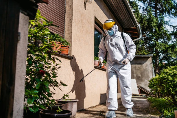 Best Emergency Pest Control  in Fairfield Beach, OH