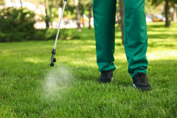 Best Best Pest Control Companies  in Fairfield Beach, OH