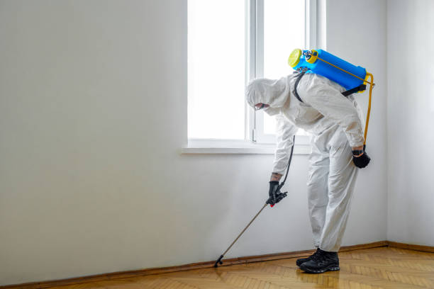 Wasp Removal Services in Fairfield Beach, OH