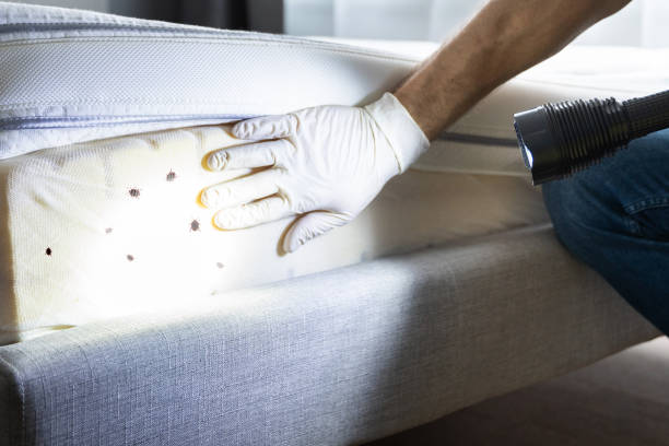 Best Residential Pest Control  in Fairfield Beach, OH