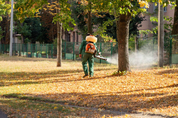 Best Wasp Removal Services  in Fairfield Beach, OH