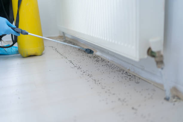 Trusted Fairfield Beach, OH Pest Control Experts