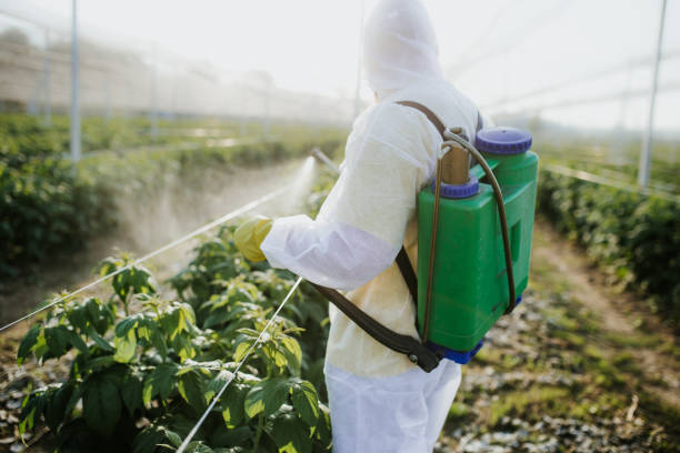 Best Ant Control Services  in Fairfield Beach, OH